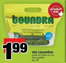Super C mini concombres offer