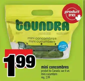 Super C mini concombres offer