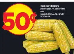 Maxi maïs sucré bicolore offer