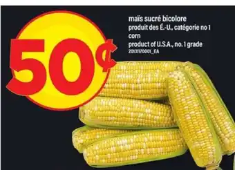 Maxi maïs sucré bicolore offer
