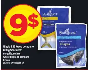 Maxi SeaQuest Tilapia or Pompano offer