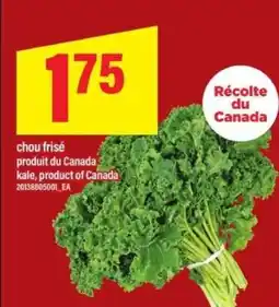 Maxi CHOU FRISÉ offer