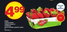 Maxi FRAISES offer
