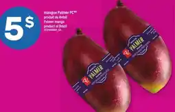 Maxi mangue Palmer PC offer