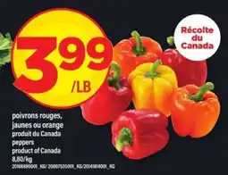 Maxi POIVRONS ROUGES, JAUNES OU ORANGE offer