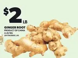 Loblaws GINGER ROOT offer