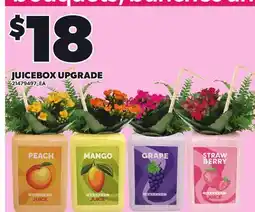 Loblaws JUICEBOX UPGRADE offer