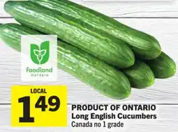 Foodland Long English Cucumbers offer