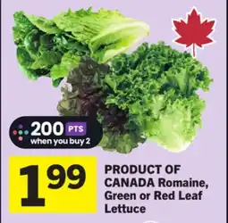 Foodland Romaine, Green or Red Leaf Lettuce offer