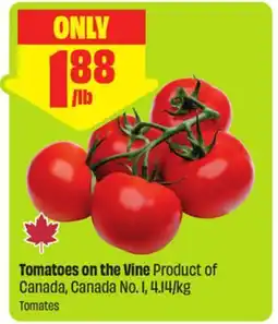 FreshCo Tomatoes on the Vine offer