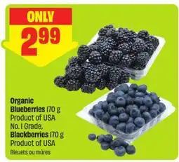 FreshCo Organic Blueberries 170 g Product of USA No. I Grade, Blackberries 170 g Product of USA offer