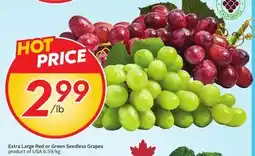 Sobeys Extra Large Red or Green Seedless Grapes offer