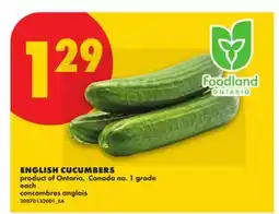 No Frills ENGLISH CUCUMBERS offer