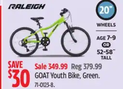 Canadian Tire GOAT Youth Bike, Green offer