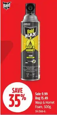 Canadian Tire Wasp & Hornet Foam offer