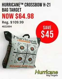 Cabela's HURRICANE CROSSBOW H-21 BAG TARGET offer