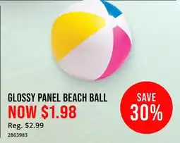 Cabela's Glossy Panel Beach Ball offer