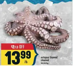 Marché Adonis Octopus thawed cleaned offer