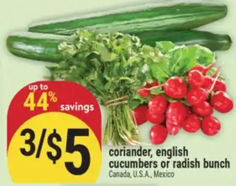 Marché Adonis coriander, english cucumbers or radish bunch offer