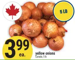 Marché Adonis Yellow onions offer