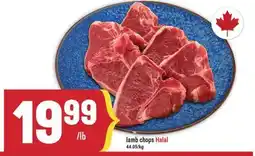 Marché Adonis Lamb chops Halal offer