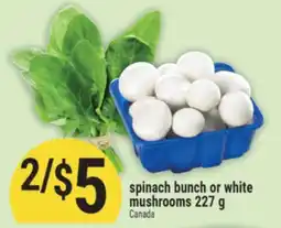 Marché Adonis spinach bunch or white mushrooms offer