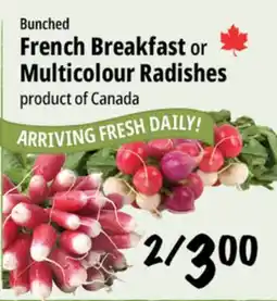 Farm Boy Bunched French Breakfast or Multicolour Radishes offer