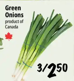 Farm Boy Green Onions offer
