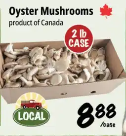 Farm Boy Oyster Mushrooms offer