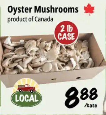 Farm Boy Oyster Mushrooms offer