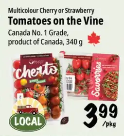 Farm Boy Multi-colour Cherry or Strawberry Tomatoes on the Vine offer