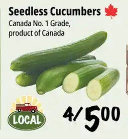 Farm Boy Seedless Cucumbers offer