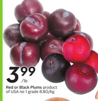 Sobeys Red or Black Plums offer
