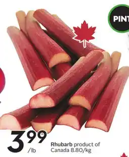Sobeys Rhubarb offer