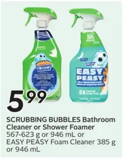 Sobeys Bathroom Cleaner or Shower Foamer offer