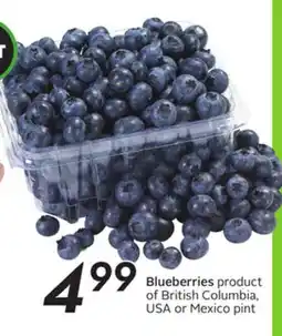 Sobeys Blueberries offer