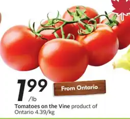 Sobeys Tomatoes on the Vine offer