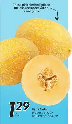 Sobeys Hami Melon offer