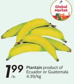 Sobeys Plantain offer