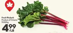 Longo's Fresh Rhubarb offer