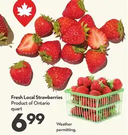 Longo's Fresh Local Strawberries offer