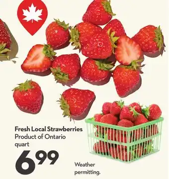 Longo's Fresh Local Strawberries offer