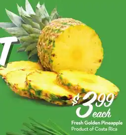 Longo's Fresh Golden Pineapple offer