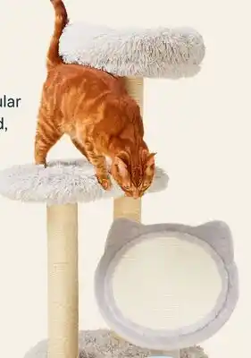 Petvalu JUMP! Monty Cat Tree offer