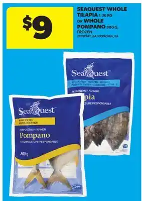 Real Canadian Superstore SEAQUEST WHOLE TILAPIA, 1.36 KG OR WHOLE POMPANO, 800 G offer