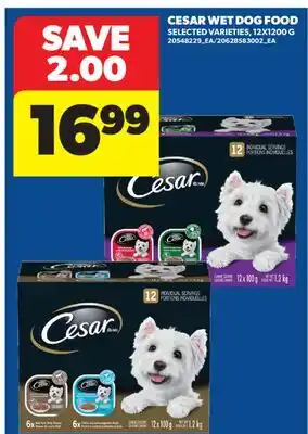 Real Canadian Superstore CESAR WET DOG FOOD offer