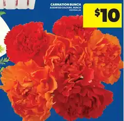 Real Canadian Superstore CARNATION BUNCH offer