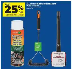 Real Canadian Superstore ALL GRILL BRUSHES OR CLEANERS offer