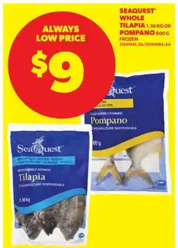 Real Canadian Superstore SEAQUEST WHOLE TILAPIA, 1.36 KG OR POMPANO, 800 G offer