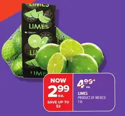 Metro LIMES offer
